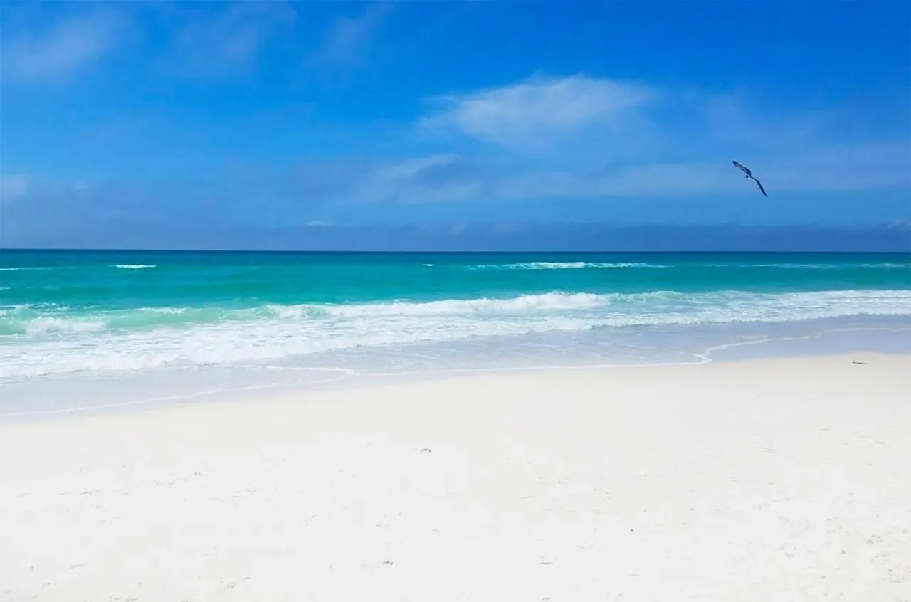 Holiday home Horizon South 32A Villa Panama City Beach